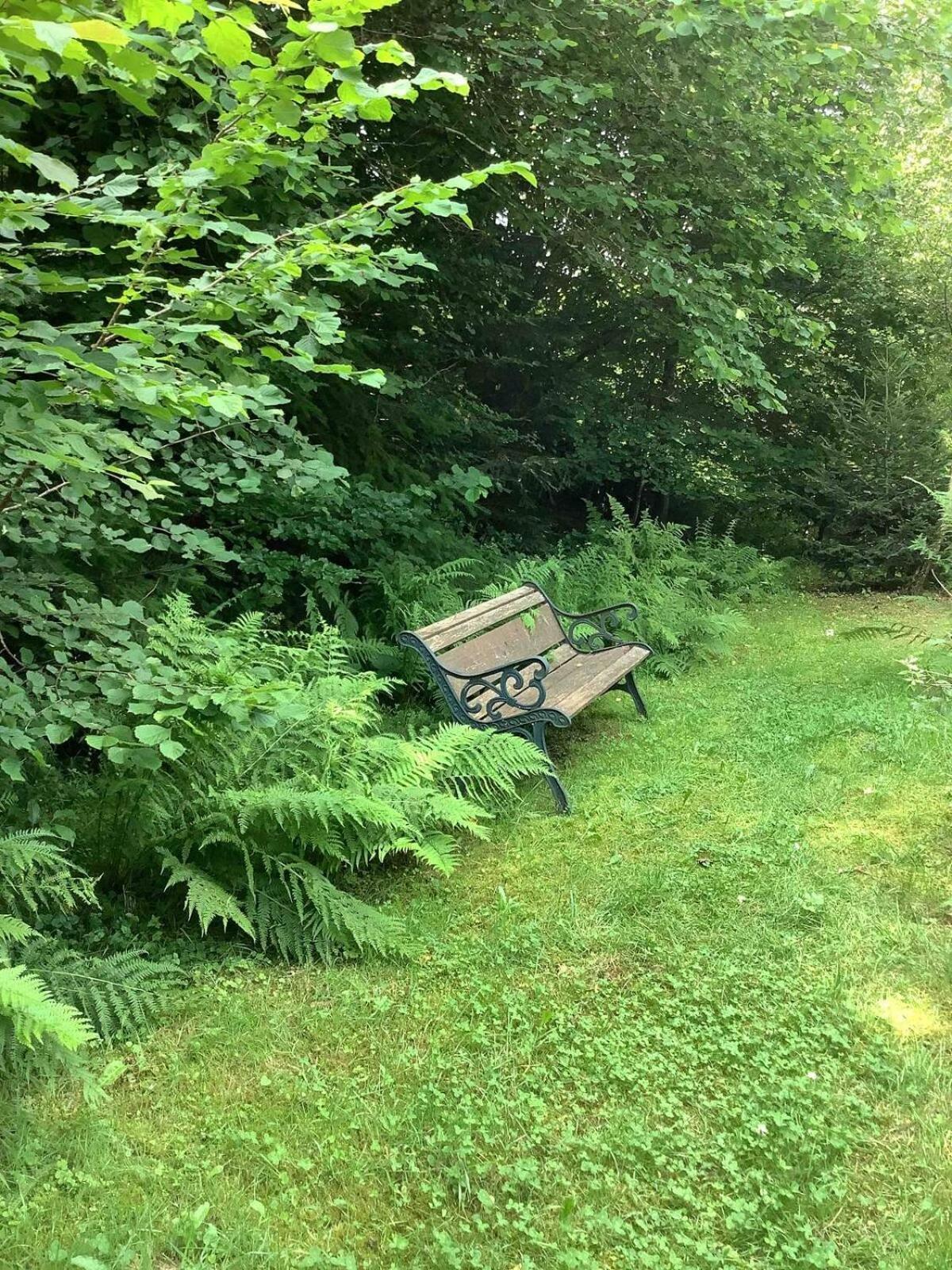 Woodland Cottage Faux-la-Montagne المظهر الخارجي الصورة